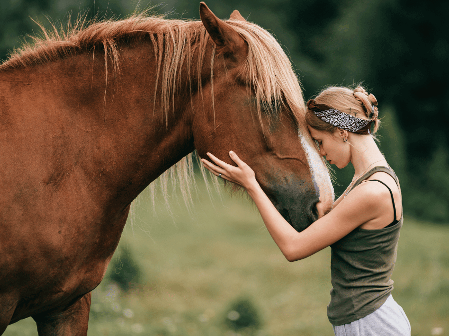 Communication Intuitive Animale Light - 13